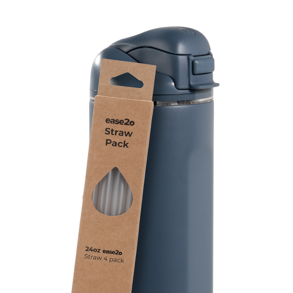 Ease2o Straws 4 Pack 24oz 6d4